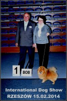 /album/fotogalerie-ronny/mgr-0006-bob-jpg/